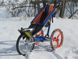 kangoo special needs buggy