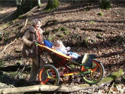 kangoo special needs buggy