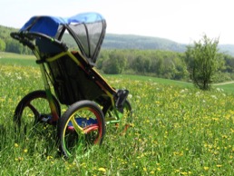 kangoo special needs buggy